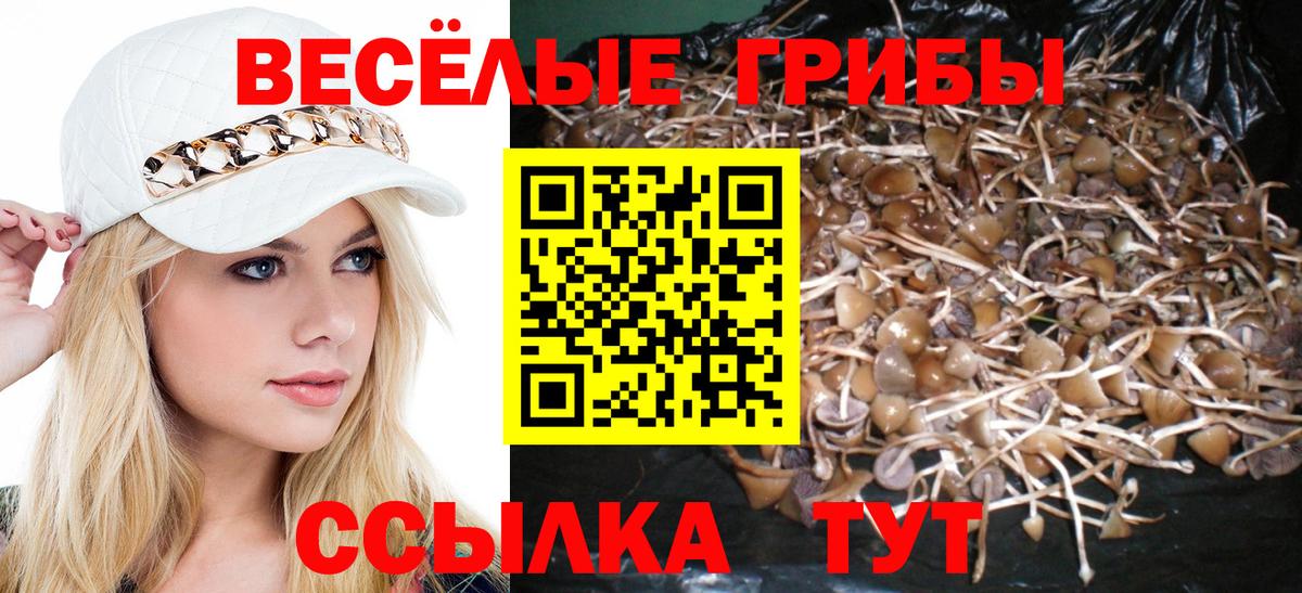 Псилоцибиновые грибы ЛСД Ревда